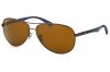 RB8313014/N6Polarized