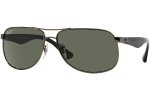 RB3502004/58Polarized