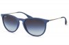 RB4171Erika6002/8G