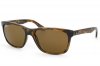 RB4181710/83Polarized