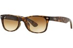 NewWayfarer(F)RB2132F710/51AsianFit