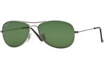RB3362Cockpit004/58Polarized