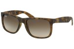 RB4165Justin710/13