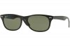 RB4223601S9APolarized