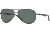 RB8313004/N5Polarized